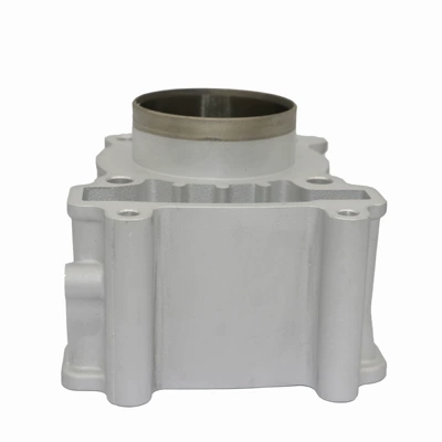 F135 Crypton135 Ceramic – Cylinder and parts