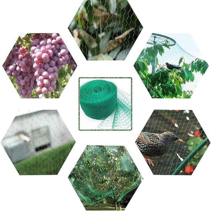 防鸟网园林网果园防鸟网聚乙烯防鸟网挤出防鸟网葡萄防绿色防鸟网 4