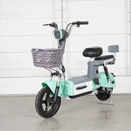 其他电动车;电动自行车