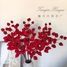 �tɫϵ���\������ٻ���c��Y�üҾ��b������쾰���컨���l