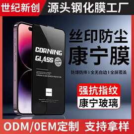 适用于苹果iphone17Promax高清防偷窥康宁手机保护蓝猩钢化膜贴膜