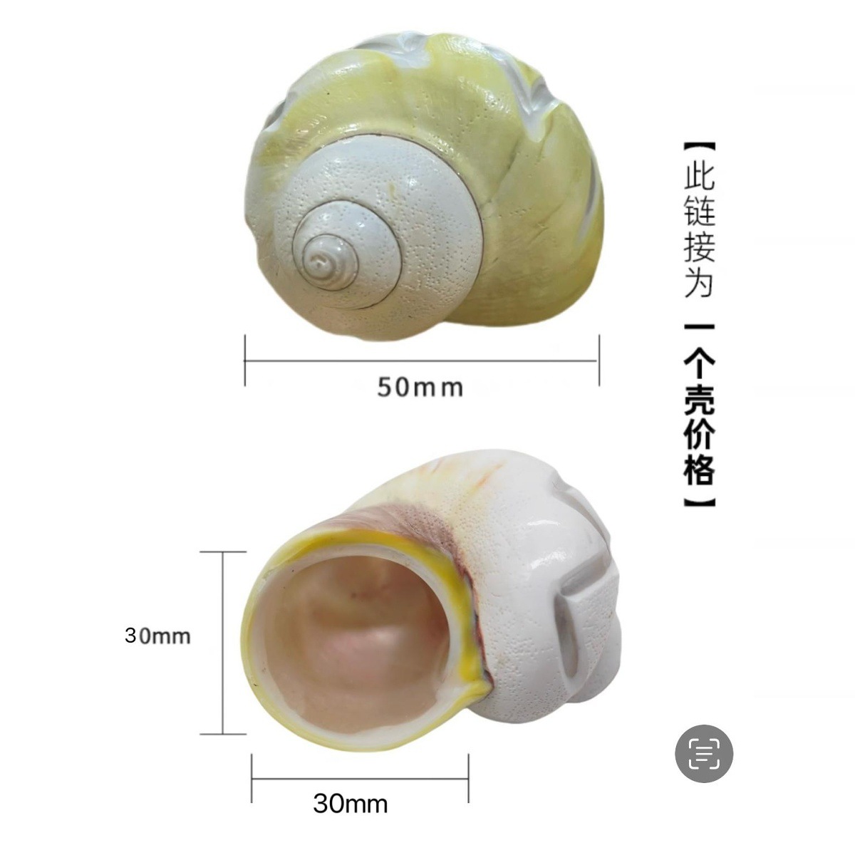 물결 모양의 아보카도 4-5cm 게