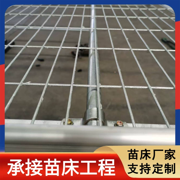 Теплика теплицы Простой рассадник с горячим оцинкованным сварным сеткой