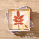 Between twilight [bookmark gift box]