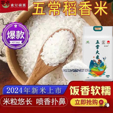 五常稻香大米东北大米真空包装10斤20斤大米批发长粒香大米新米