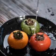 Yixing handmade purple sand everything goes well persimmon tea pet ornaments boutique personalized gift box tea toy simulation fruit tea set