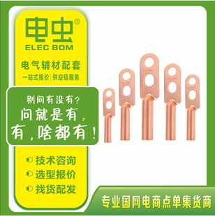 Double-Hole Terminal Block 10-630 Square National Standard Thickeneded Copper Cable Crimping Terminal Copper Nose