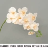 Long model 9 Phalaenopsis 2nd generation silk cloth shallow champagne