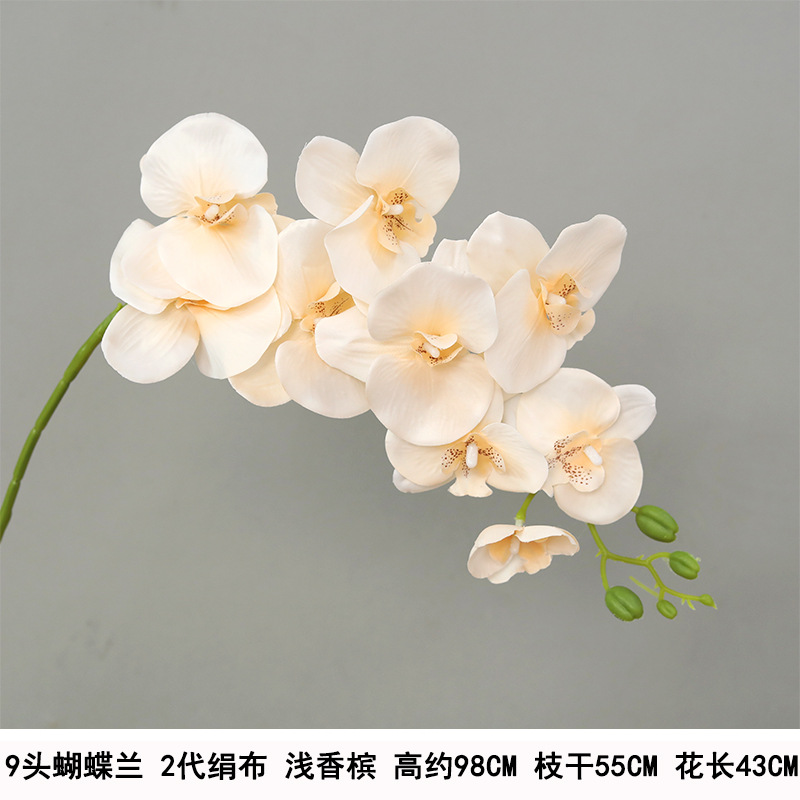 Long 9-head phalaenopsis 2nd generation silk light champagne
