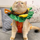 Cat Burger Headgear Collar Hat Cartoon Pet Fries Bib Funny Dress Elizabeth Circle