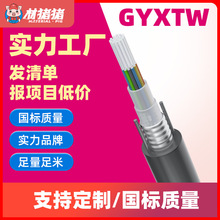 【定制】GYXTW 通訊光纖電纜4芯6芯8芯12芯單模光纜 GYXTW光纖線
