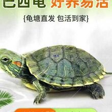 ��H�����w������������������t������ˮ�������L��