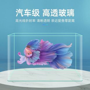 Wholesale Hot-Bent Transparent Glass Lazy Fish Tank Living Room Balcony Home Landscaping Small and Medium-Sized Decorative Goldfish Ecological Water