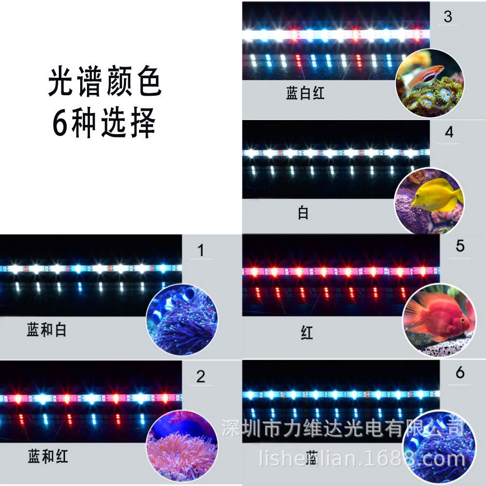 ����ֱ��LED��׵�ˮ�ݵ�ˮ������ɫ����IP68��ˮ��ɫˮ��������