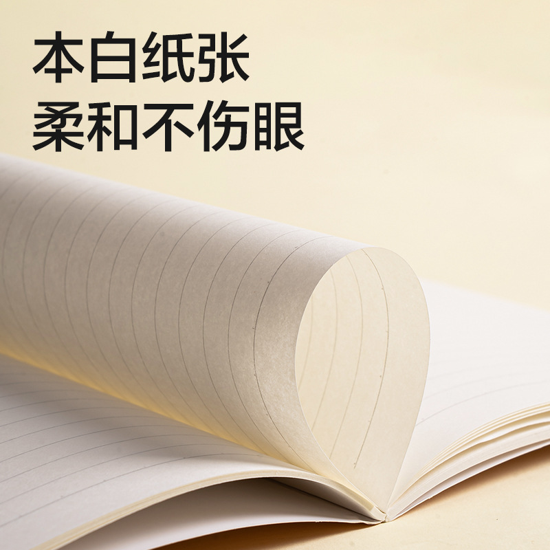 Deli FA540-1 suture book (Lesu 2) (book)