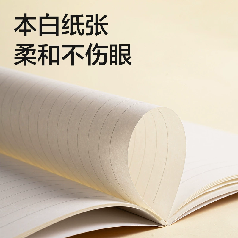 Deli FA540-1 suture book (Lesu 2) (book)