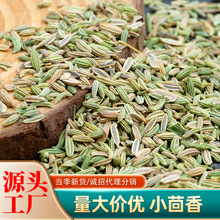 批发甘肃小茴香 散装茴香籽调料中药材香料卤料火锅底料烧烤调味