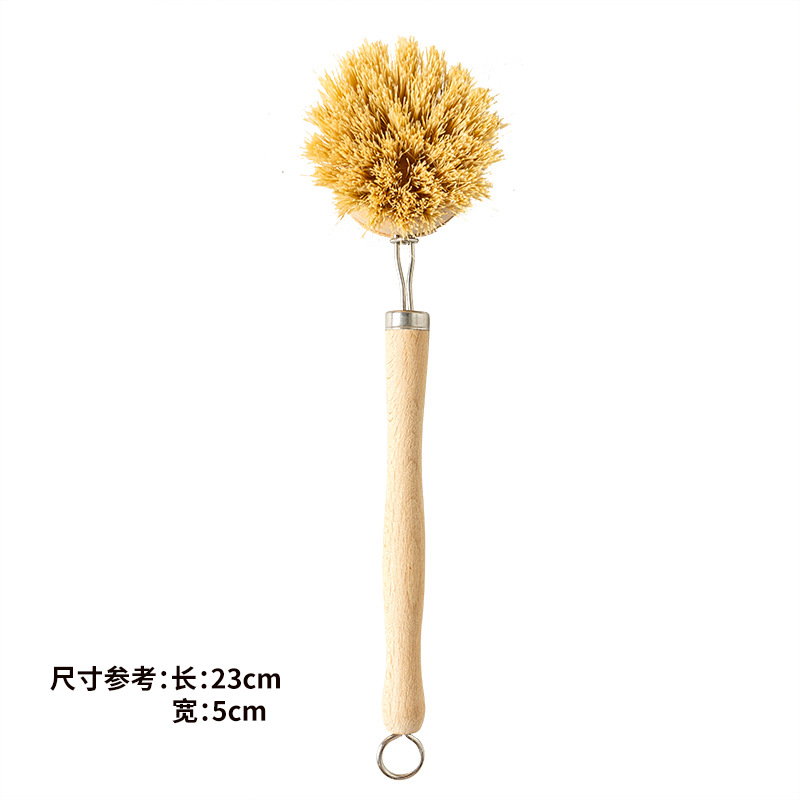 긴 손잡이 너도밤나무 사이잘