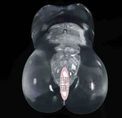 Transparent Dual-Entry Male Masturbator Torso with Breasts, TPE Half-Body Adult Toy — detail image 5