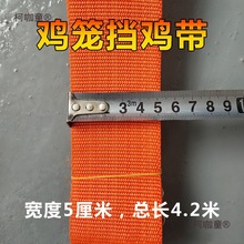 鸡笼挡鸡带养殖场养鸡场家禽元宝笼框架笼蛋鸡肉鸡育雏小鸡麦太保