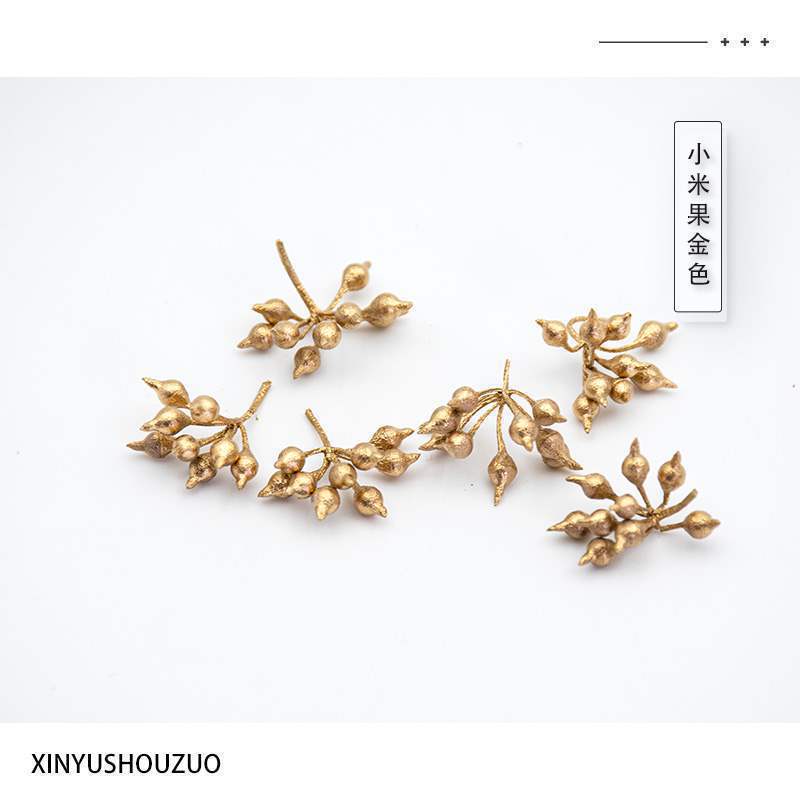 ドライフルーツ 松ぼっくりの種子標本 植物の実 手作りドライフラワー素材 猫の豊かな環境 幼稚園 自然|undefined
