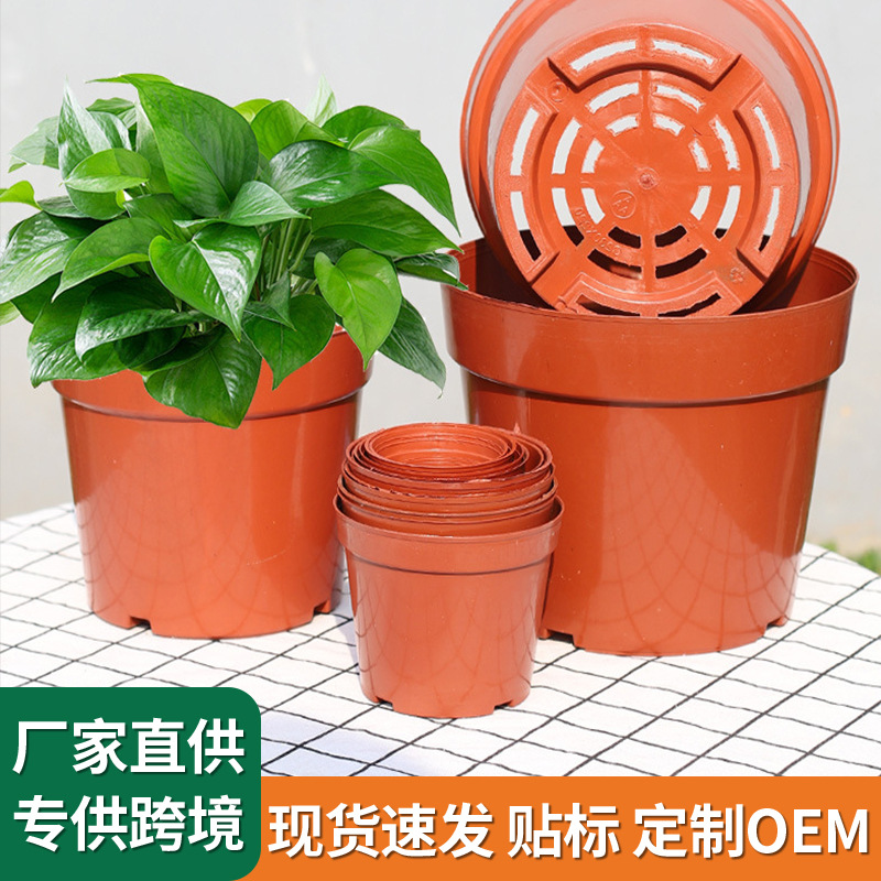 圆形透气小花盆多肉网底育苗盆塑料网状底绿植室内桌面盆栽景观盆