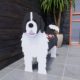 Cross-border exclusive for Amazon pet flowerpot pet shape planting pot foreign trade reinforcement outdoor courtyard cultivation potted plants