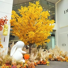 �����y�Ә��҃���Ƶ��b����쾰�[����ɫ�S���ߘ�٘����