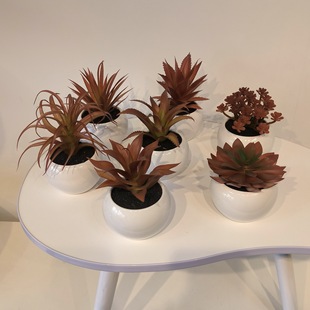 Cross-Border Supply Artificial Succulent Plant Potted Home Green Plant Decoration Office Desk Small Ornaments
