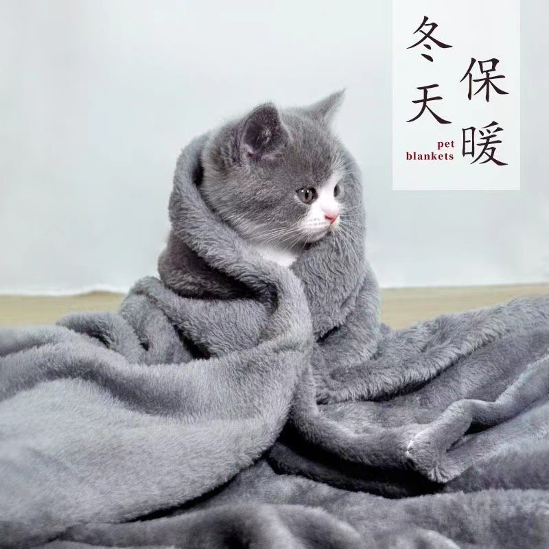 单个毛毯50*70cm（颜色随机） / 宠物毛毯【颜色随机】
