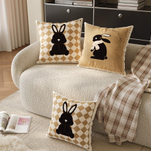 ins风抱枕客厅高级感网红沙发靠枕飘窗靠垫卧室床头靠背垫含芯