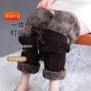 �ӽq�Ӻ��ﶬ����a�����⴩��ů���e���_�\�ӹ����lѝ���LѝŮ�b