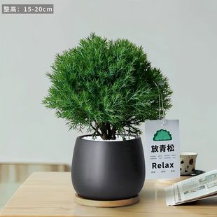 �����ɾGֲ�F���҃�С�����Fڡ�k���������p��ֲ��[���ļ����B