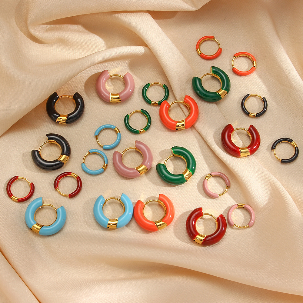 Fashion Geometric Stainless Steel Earrings Stoving Varnish Plating Stainless Steel Earrings_colorza_1