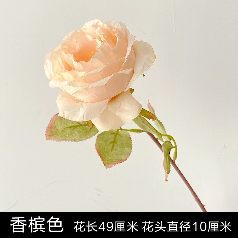 샴페인