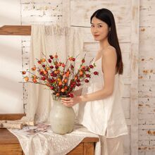 һ�����ɽ髷��滨�ٻ�������ֲ����������װ��INS�羳MW10888