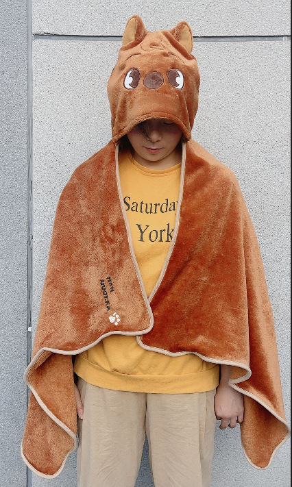 Stray Kids Blanket SKZOO Cartoon Hoodie Throw Warm Cloak Bang Chan