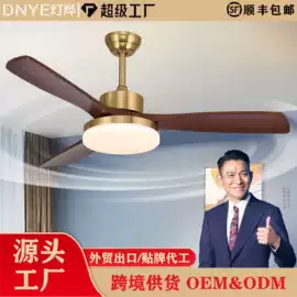 风扇灯;工业风扇