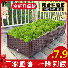 仔欧蔬菜种植箱 特大阳台种菜盆长方形家庭屋顶菜园塑料种菜花盆