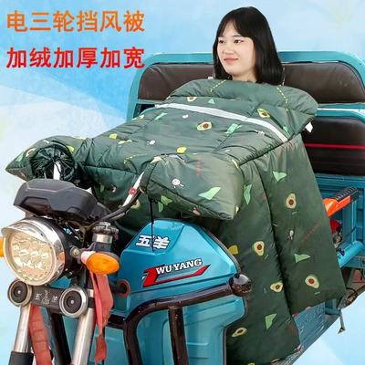 Suitable for Electric Tricycle Windshield Motorcycle front windshield - electric-three-wheel-dual-series-side-wings-green-rabbit-fruit