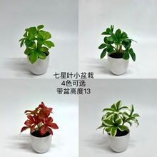 ���������~С���Ե��m��괻��廨�G�~�@���쾰�b�