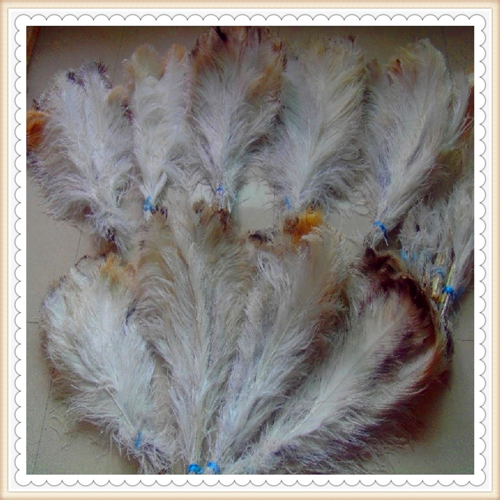 鸵鸟毛绒条鸵鸟毛带鸵鸟毛条处理工厂批发现货鸵鸟羽毛原材料仓库