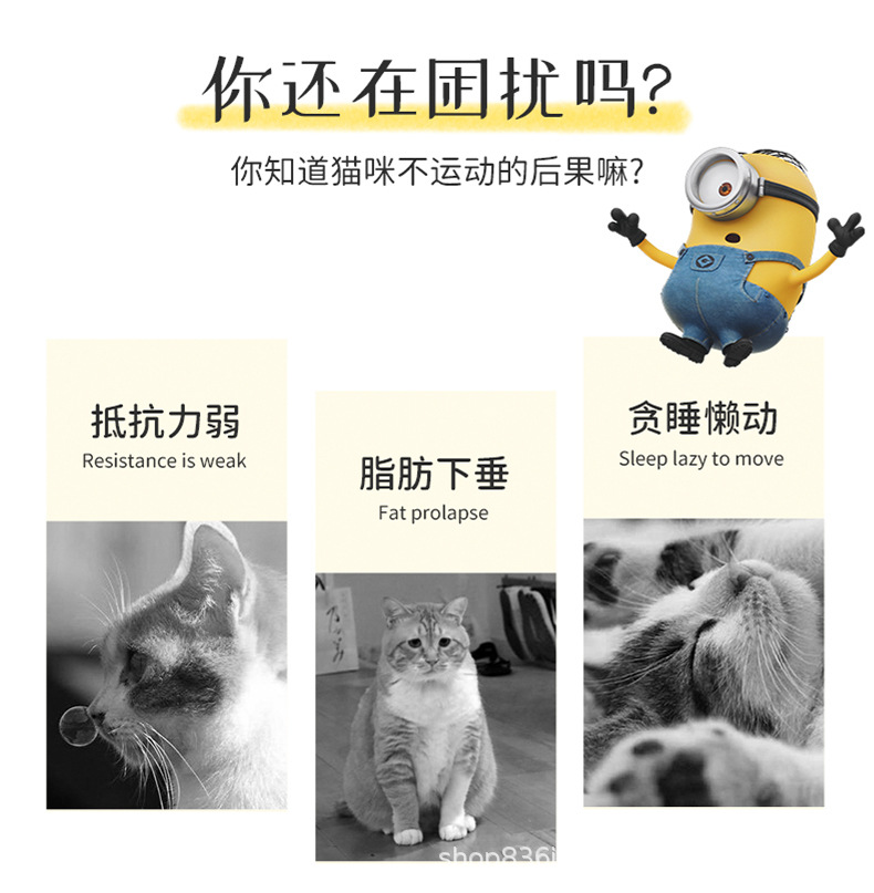 详情_02.jpg