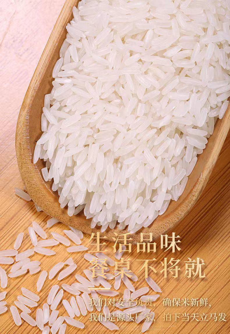 f95253c5-40cd-447d-9615-3b482e2cb439.jpe