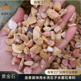 黄金石石源头工厂供应石子水磨石透水地坪露骨料黄35mm彩色石子