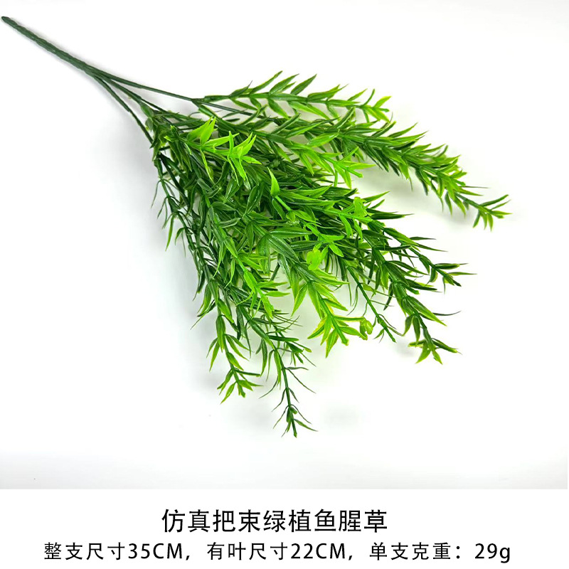 녹색 식물 Houttuynia cordata의 시뮬레이션 묶음