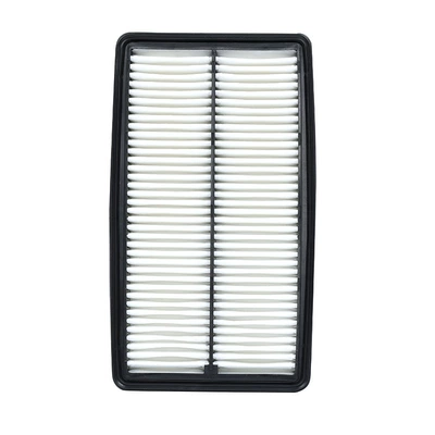 17220-RGL-A01, Air filter