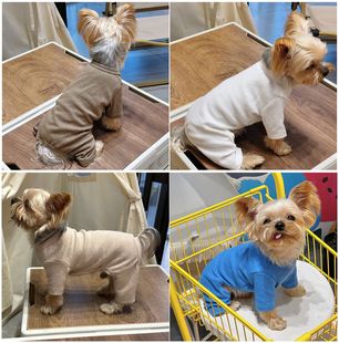 Korean style bottoming shirt pet clothes puppy four-legged clothes manufacturer in stock 1 piece wholesale cross-border Japanese and Korean autumn and winter style