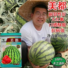 쿹ƷNtȿڸкô͑НhϷN