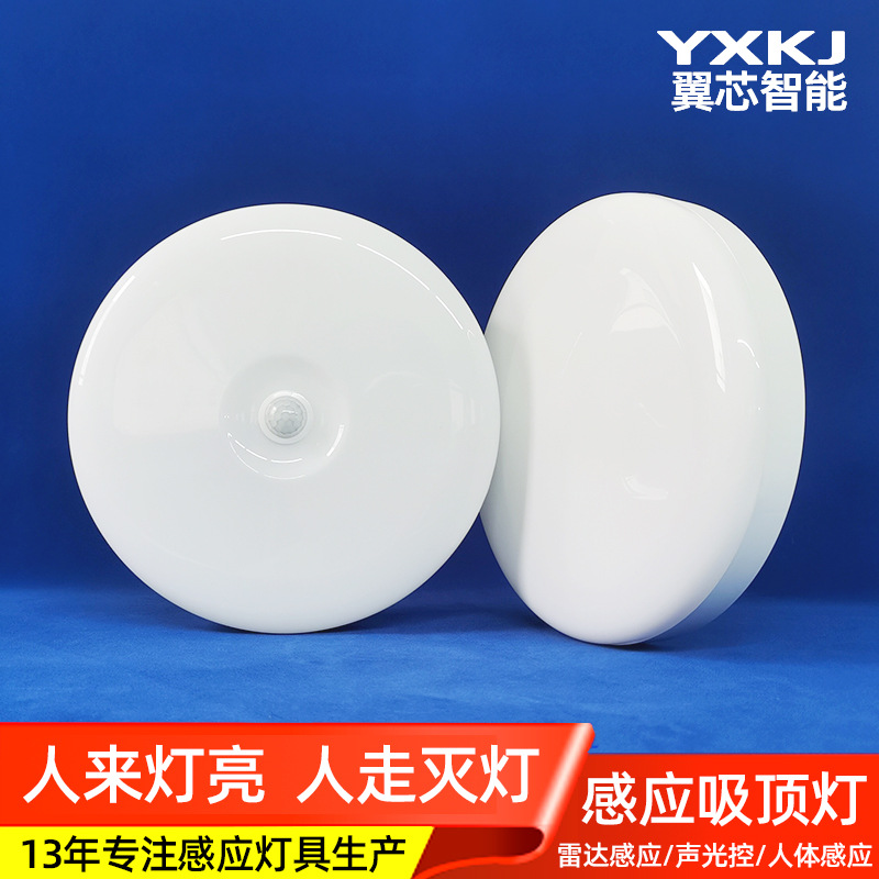 LED induction physiological lamp with light music for corridor